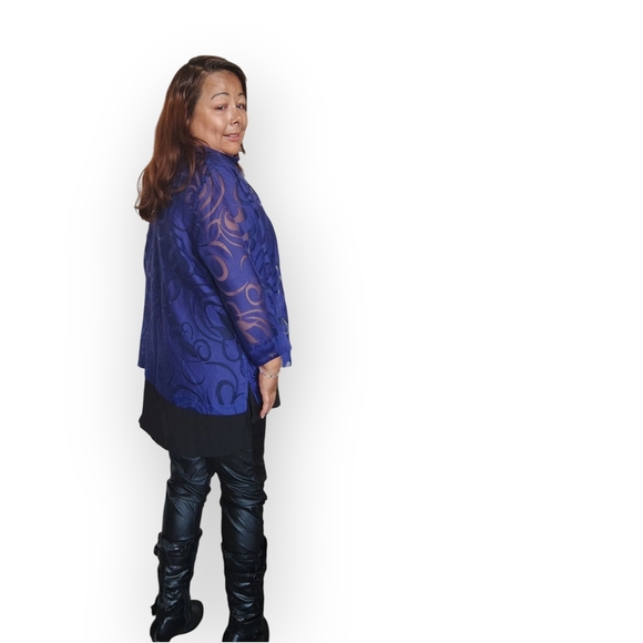 Sheer Blue Button-Up Blouse - Picture 6 of 16